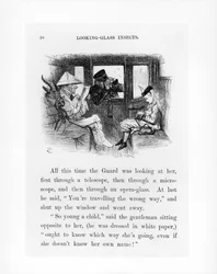 Looking-Glass Insects, illustration from 